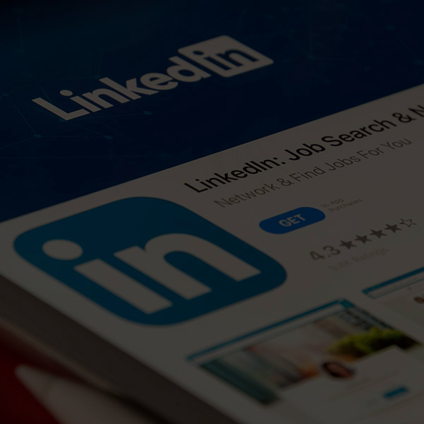 Workshop LinkedIn Expert - do Zero ao Campeo