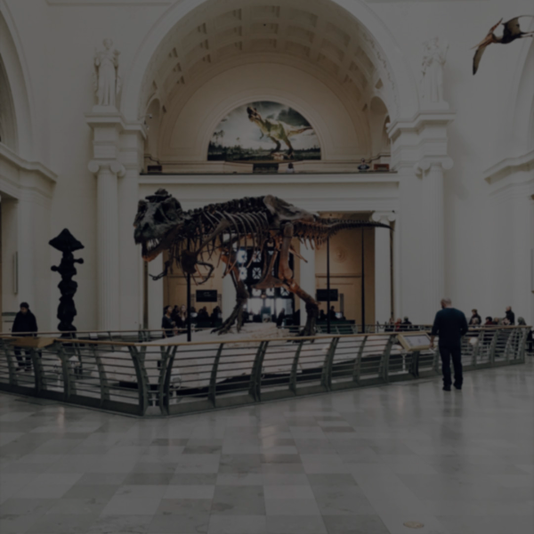 Museus