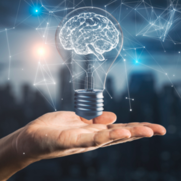 Estudo dos principais institutos: marca, patente, desenho industrial, modelo de utilidade e indica��es geogr�ficas.