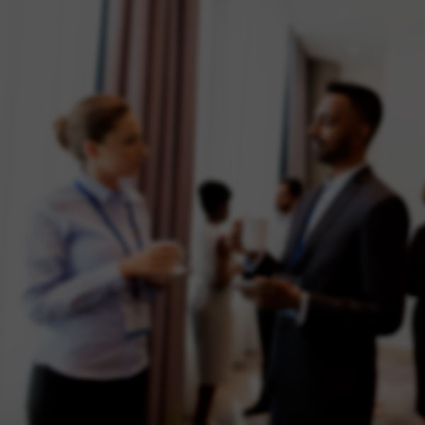 Networking e Parcerias Estratgicas