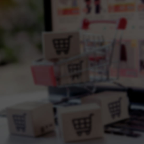Gesto de E-commerce e Plataformas Digitais