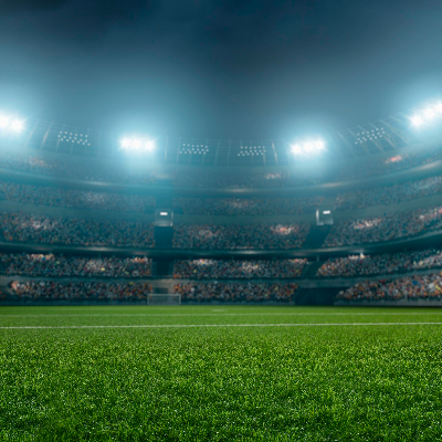 Identificar a interdisciplinaridade e os institutos correlatos, de modo a compreender a obrigatoriedade de cl�usulas contratuais que regulem o direito de imagem, de arena, entre outros.